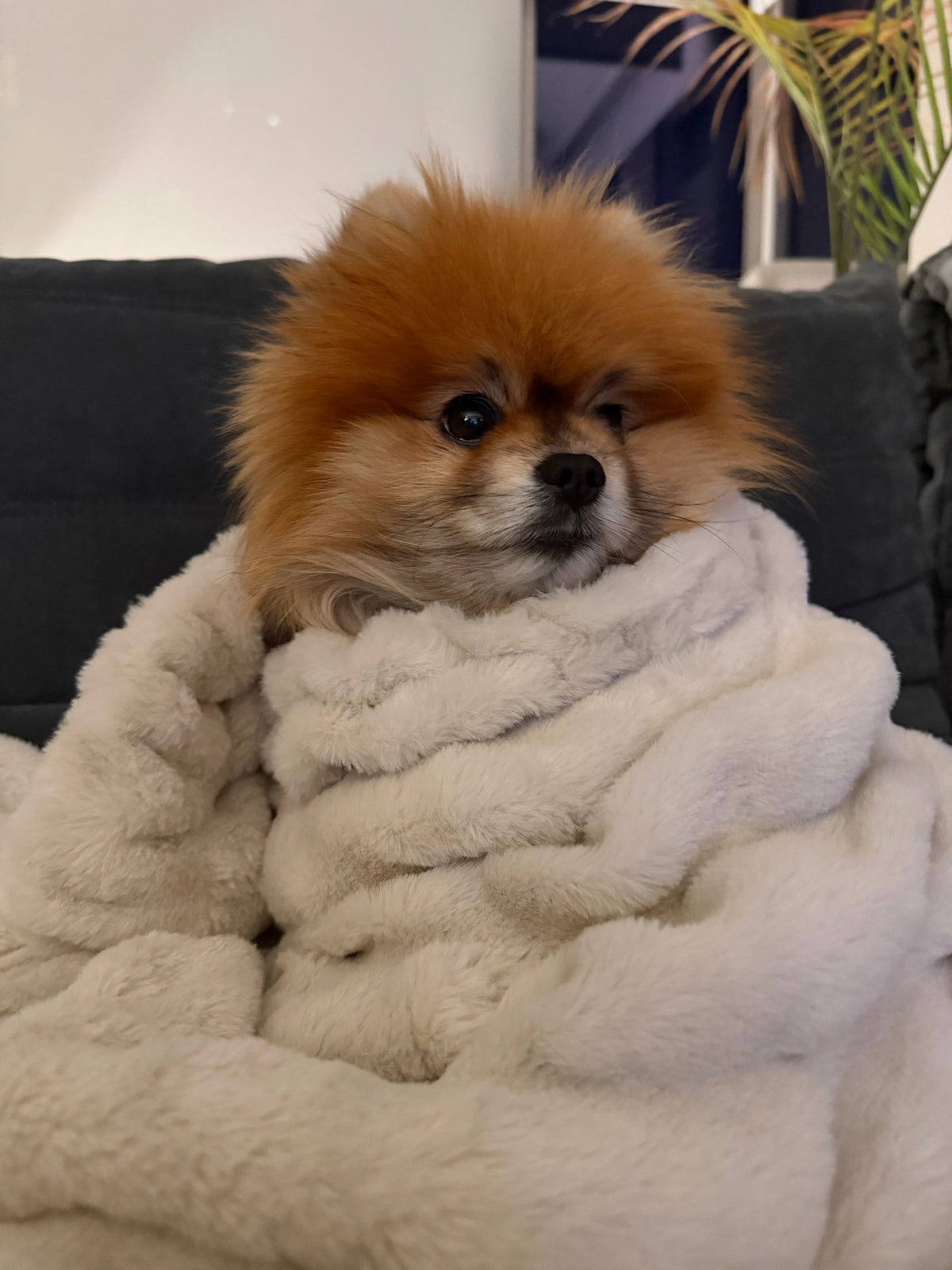 The Best Cosy Gifts for People Who Have Everything