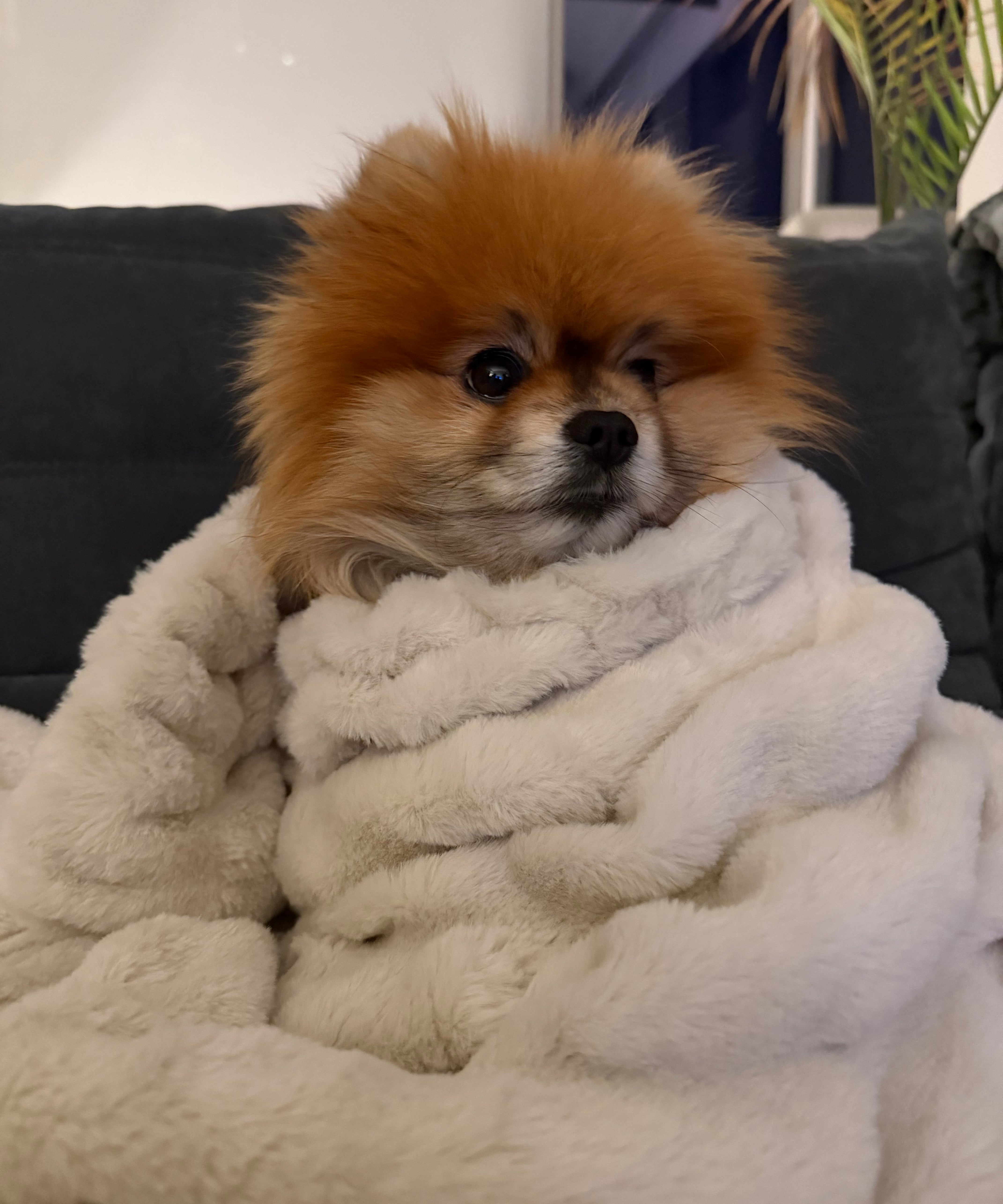 The Best Cosy Gifts for People Who Have Everything