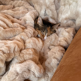 The SnuggleStretch™ Blanket in 'Burnt-Out Millennial'